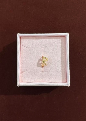 Spelling huggie R Forgyldt Pico 